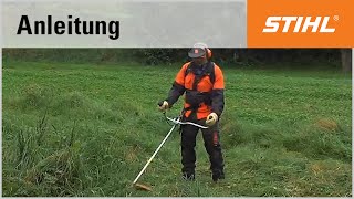 MähtechnikTipp Mähen im hohen Gras mit einer STIHL Motorsense [upl. by Naux280]