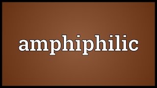 Amphiphilic Meaning [upl. by Uriel302]