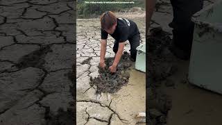 Japans😱 mud soil 😱ytshorts [upl. by Ahseital]