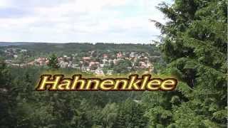 Hahnenklee Sommerrodelbahn [upl. by Haag]