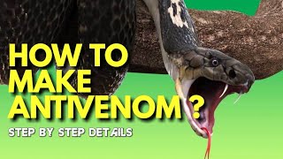 How to make Anti venom  Antivenom from horse venomoussnakes [upl. by Channa]