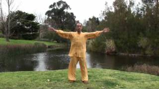 Ziran Qigong Level 1 Form  1st Half [upl. by Horodko23]