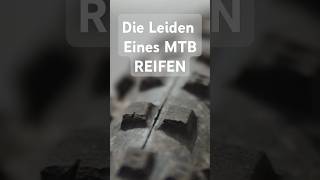 Mountainbikereifen sind Leidensfähig [upl. by Bannister]