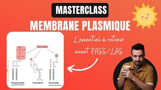 MASTERCLASS  🧫Ce quil faut retenir sur la membrane plasmique avant PASSLAS [upl. by Tadashi440]