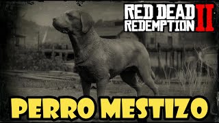 Donde encontrar el PERRO MESTIZO en Red Dead Redemption 2✔️ [upl. by Maril]