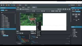 How to centre images and text in Bootstrap Studio BSS [upl. by Leiad]