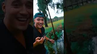 Salvando peixinhos das garras do jacaré🐊 shorts foryou alligator fish fishing jacaré [upl. by Henry]