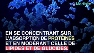 Les consignes à respecter pour une perte de poids sans risque [upl. by Lennad]