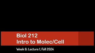 CSULB Biol 212 Fall 2024  Week 6 Lecture 1 [upl. by Philemol]