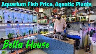 Aquarium Fish Price in Betta House I Exotic Fishes I Aquatic Plants I Bangalore [upl. by Rossing317]