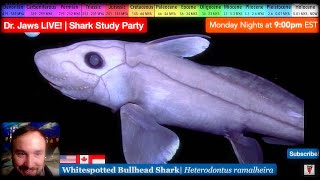 Dr Jaws LIVE 91TREAT GHOST SHARK HALLOWEEN Study Party [upl. by Ellehcor]