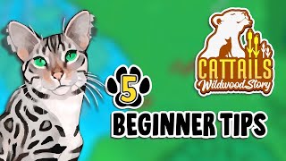 5 Tips I Wish I Knew BEFORE Playing Cattails Wildwood Story 🐈 [upl. by Elok]