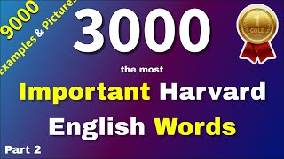 3000 Essential English Words with Pictures amp Sentences the most common used English vocabulary 24 [upl. by Velvet]