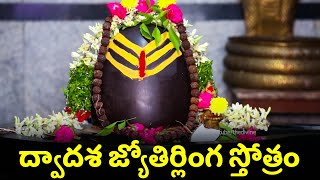 Saurashtradeshe  Dwadasha Jyothirlingala Stothram  Lord Shiva Bhakthi Songs  The Divine [upl. by Tiertza]