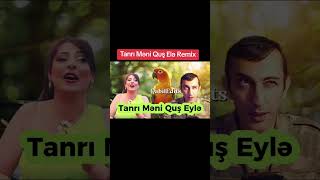 Tanri Meni Qus Ele Remix Tanrı Məni Quş Eylə Remix trendshorts cat parrot [upl. by Ecyac783]