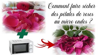 Comment faire sécher des pétales de roses au micro ondes  Tuto fleurs séchées facile et rapide DIY [upl. by Desmund910]