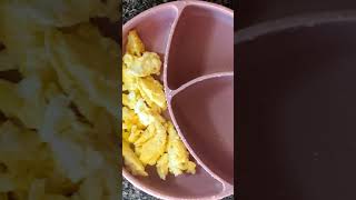 What My Baby Eats In a Day Easy Breakfast amp Dinner Recipes for 1YearOld 12 Month Baby Meal Ideas [upl. by Morel]