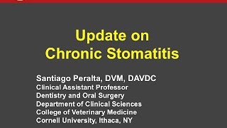 Update on Chronic Stomatitis  conference recording [upl. by Inavoj]