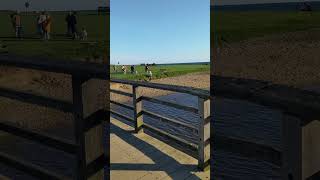 View from bridge over River Char Charmouth Dorset [upl. by Neff]