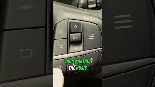 Ford KugaEscape Steering Wheel buttons explained MariuszCars [upl. by Nakre]