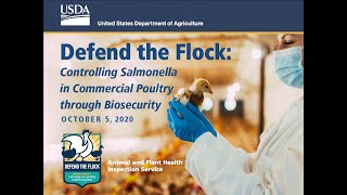 Controlling Salmonella in Commercial Poultry through Biosecurity [upl. by Widera]