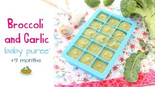 Broccoli Garlic Puree  baby food recipe 9M [upl. by Annohs310]