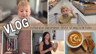 VLOG  Inghetata de casa cu doar 3 incrediente  Cumparaturi saptamanale [upl. by Nitsua]