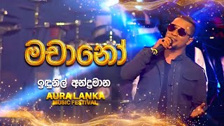 Machano මචානෝ  Indunil Andramana  Aura Lanka Music Festival [upl. by Zug666]