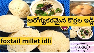 foxtail millet idli recipe  కొర్రల ఇడ్లీ by dharani cooking mania [upl. by Annadroj]