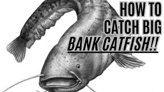 HOW TO Catch BIG Bank Catfish  THE Boatless Catfishing Guide [upl. by Erhard]