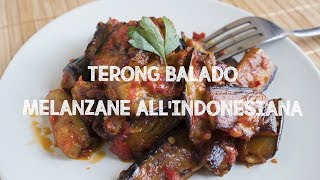 MELANZANE ALLINDONESIANA  TERONG BALADO  Elefanteveg [upl. by Aynekal]