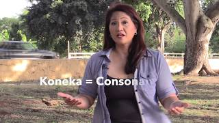 LH3 How to Speak Hawaiian  Consonants [upl. by Nina989]