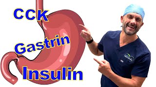 GI Hormones Made Easy  Insulin Gastrin CCK Glucagon and others [upl. by Aerdnaek]