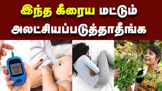 Health Benefits இத்தனை நாள் இது தெரியாம போச்சே  Cooking Delicious and Nutritious Moringa Recipes [upl. by Sailesh]