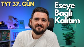 Eşeye Bağlı Kalıtım  39 Günde TYT Biyoloji Kampı  37 GÜN  yks2025 [upl. by Adniuqal]