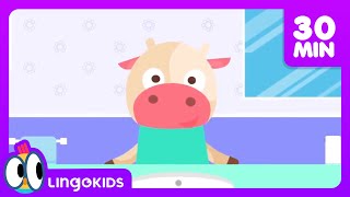 Clean Up Songs 🧹🧼  More Songs for Kids  Lingokids [upl. by Yvon73]