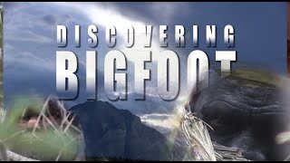 All time Best facial video of Bigfoot [upl. by Bisset]