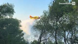 BRUCIA IL GARGANO CAVI DI UN TRALICCIO SI SPEZZANO E PROVOCANO INCENDIO A VIESTE [upl. by Ayhtak]