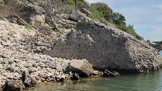 Canyon Wren Song  plus 2 Sandpipers 20230401 113847 [upl. by Tirma847]