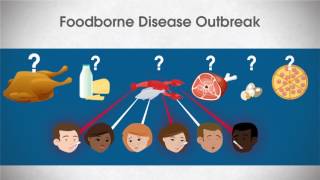 Foodborne Outbreak Investigation What does an epidemiologist do [upl. by Schweiker]