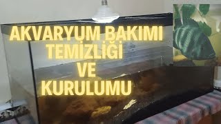 AKVARYUM BAKIMI TEMİZLİĞİ  DIŞ FİLTRE KURULUMU [upl. by Ilime]