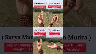 Mudras meditation yoga mudra yogapractice stressrelief shorts youtubeshorts [upl. by Ijar]