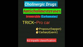 Cholinergic Drugs part 4 anticholinesterasescarbamatespharmacology trick classification [upl. by Clyde]