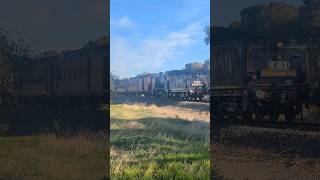 Heritage Steam Locomotives powering along the North East Line from Congupna amp Tallygaroopna train [upl. by Aneras]