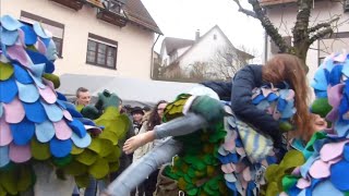 Fasnet clip [upl. by Dominica304]