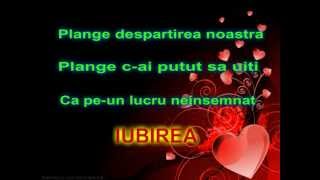 Aron Adrian  Plange o chitara lyrics [upl. by Eerbua125]