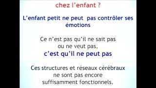 2018 03 27 Extrait Les neurosciences et le développement de lenfant Dr Catherine Gueguen [upl. by Enidualc]