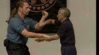 Ip chun chi sau Shaun Rawcliffe and otherswmv [upl. by Gamin]