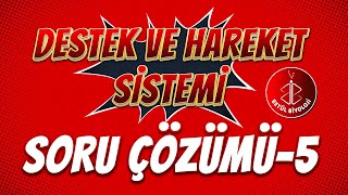 Destek ve Hareket Sistemi Soru Çözümü 5  AYT Biyoloji [upl. by Onavlis375]