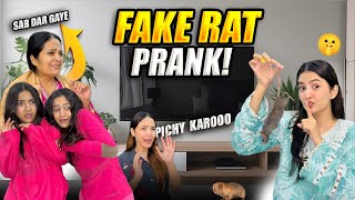 Fake rat in washing machine prank  mama ka scary reaction Must watch  Hira Faisal Sistrology [upl. by Nade]